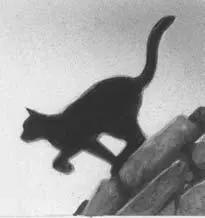 A scarlet leaf spiraled lazily down from a branch above Lionblazes head He - фото 8