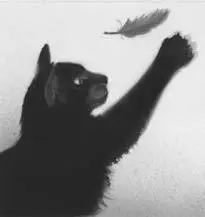 From the corner of his eye Lionblaze spotted movement on the Highledge - фото 12