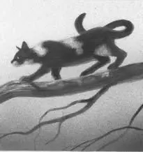 Hollyleaf leaped sinking her claws into the vole and dispatching it with a - фото 15