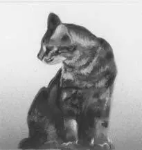 Lionblaze felt cool grass brushing his belly fur as he crept forward The scent - фото 18