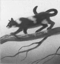 Scent tickled Jaypaws nose Mouse His belly growled and his eyes flew open - фото 21