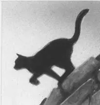 As soon as Lionblaze had caught more prey he headed back toward the old Twoleg - фото 25
