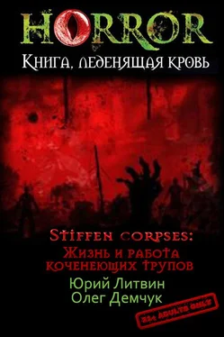 Юрий Литвин Stiffen corpses: Жизнь и работа коченеющих трупов [СИ] обложка книги