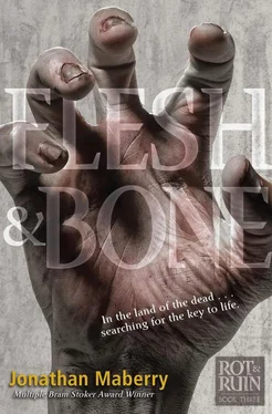 Jonathan Maberry Flesh & Bone обложка книги