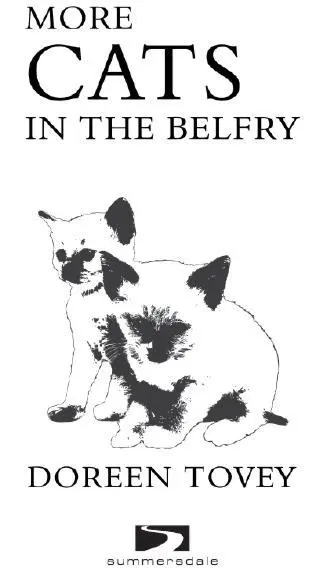 Praise for Cats in the Belfry A chaotic hilarious and heartwrenching love - фото 1