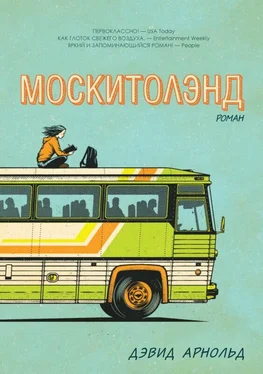 Дэвид Арнольд Москитолэнд обложка книги