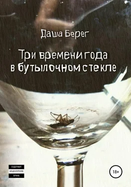 Даша Берег Три времени года в бутылочном стекле обложка книги