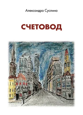 Александра Суслина Счетовод обложка книги