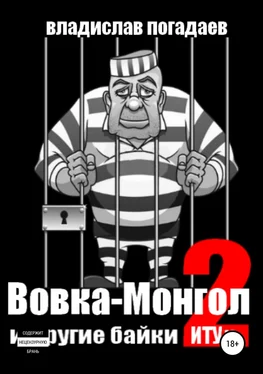 Владислав Погадаев Вовка-Монгол и другие байки ИТУ№2 обложка книги