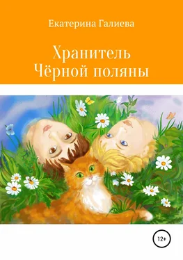 Екатерина Галиева Хранитель Чёрной поляны обложка книги