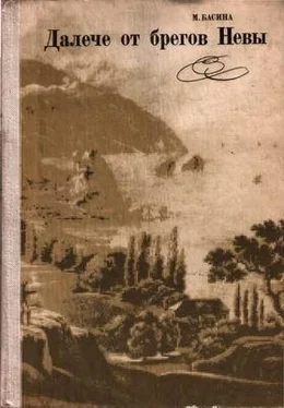 Марианна Басина Далече от брегов Невы [без иллюстраций] обложка книги