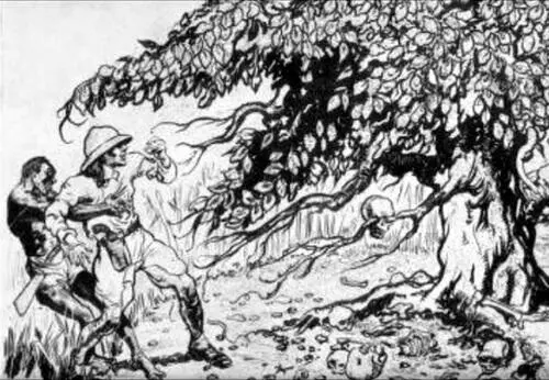 Абориген спасает незадачливого европейца Лондонская Дейли кроникл - фото 57