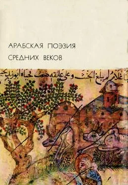 Array Имруулькайс Арабская поэзия средних веков обложка книги