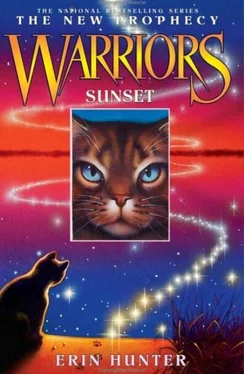 Erin Hunter Sunset обложка книги