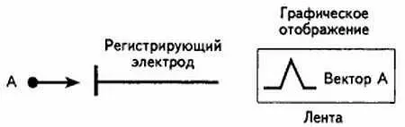 Рис 21 Направление вектора на регистрирующий электрод 3 Если вектор - фото 21