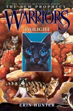 Erin Hunter Twilight обложка книги