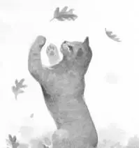 Leafpool and Cinderpelt emerged from the trees beside the lake to see the small - фото 13