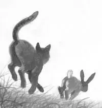 Hey Squirrelflight Squirrelflight looked up from the mouse she was eating - фото 14