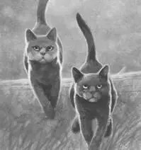 Squirrelflight stopped underneath a tree and listened The woods were silent - фото 16