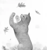 Shivering Leafpool peered out into the clearing If Tigerstar looked up she - фото 19