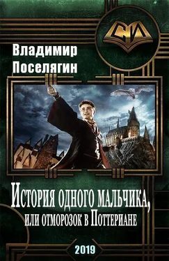 Владимир Поселягин История одного мальчика, Или отморозок в Поттериане обложка книги