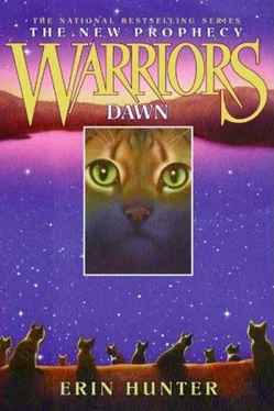 Erin Hunter Dawn обложка книги