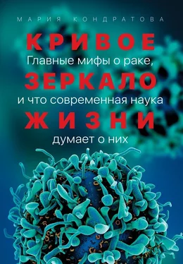 Мария Кондратова Кривое зеркало жизни. Главные мифы о раке, и что современная наука думает о них обложка книги