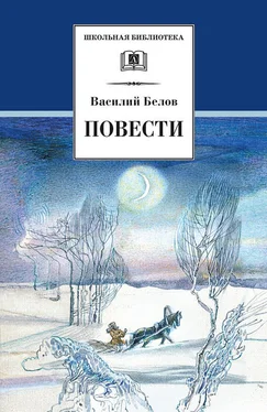 Василий Белов Повести обложка книги