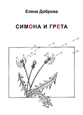 Елена Доброва Симона и Грета обложка книги