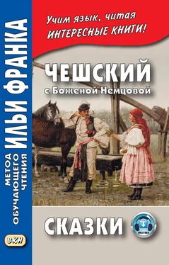 Божена Немцова Чешский с Боженой Немцовой. Сказки