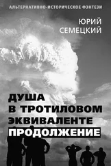 Юрий Семецкий - Душа в тротиловом эквиваленте. Продолжение