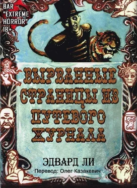 Эдвард Ли Вырванные Cтраницы из Путевого Журнала обложка книги