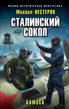 Михаил Нестеров Сталинский сокол. Комэск