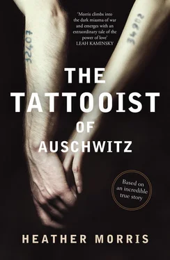 Хезер Моррис The Tattooist of Auschwitz обложка книги