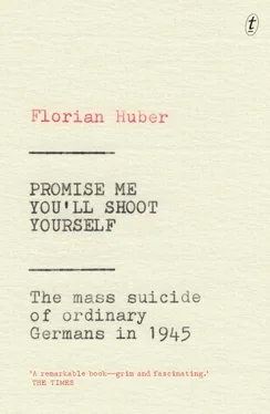 Florian Huber Promise Me You'll Shoot Yourself: The Mass Suicide of Ordinary Germans in 1945 обложка книги