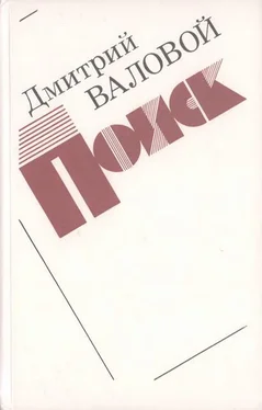Дмитрий Валовой Поиск (Экономическая повесть) обложка книги