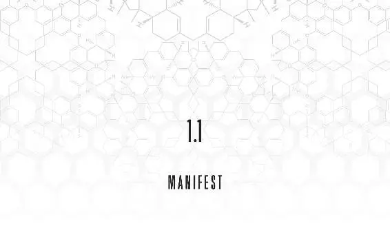 11 Manifest Almost everybody called her Eve At first glance you mightve - фото 7