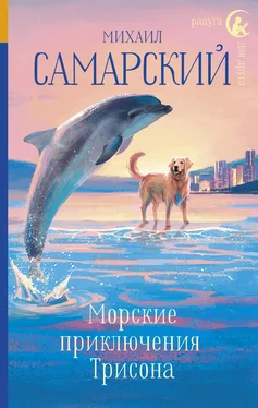 Михаил Самарский Морские приключения Трисона обложка книги