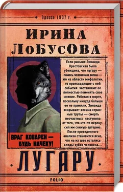 Ирина Лобусова Лугару обложка книги