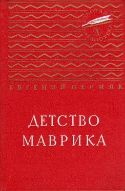 Евгений Пермяк Детство Маврика. Повесть обложка книги