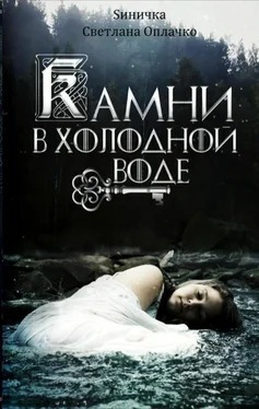 Светлана Оплачко Камни в холодной воде обложка книги