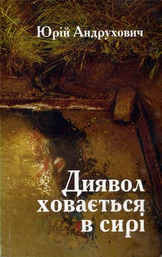 Юрій Андрухович Диявол ховається в сирі обложка книги