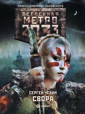 Сергей Чехин Метро 2033: Свора обложка книги