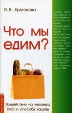 Ирина Ермакова Что мы едим? обложка книги