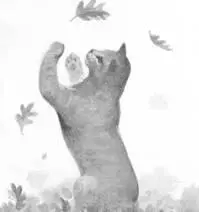 Leafpaw wrinkled her nose at the foul scent and tried not to hiss in disgust - фото 7