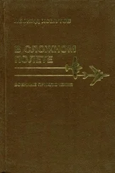 Леонид Хомутов - В сложном полете
