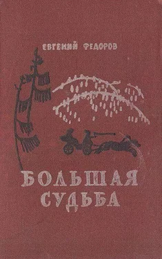 Евгений Фёдоров Большая судьба обложка книги