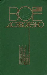 Брайан Гарфилд - Американская история