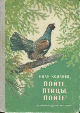Иван Коданев Пойте, птицы, пойте! обложка книги