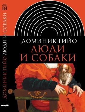 Доминик Гийо Люди и собаки обложка книги